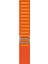 Apple Watch Uyumlu Series 3 4 5 6 7 8 9 Se 42 44 45 49 mm Alpine Loop Kordon Kayış 1