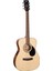 AF510E Op - Open Pore Elektro Akustik Gitar 1