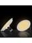 Cata Ct 5147 LED Spot 12W 3200K Gün Işığı 3