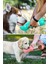 Taşınabilir Hazneli Mama Kaplı ,kaka Poşetli Kedi,köpek SULUĞU-300ML 7