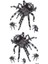 Örümcek Dövmesi Tarantula Dövme Tattoo 1