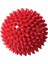 Dikenli Duyu ve Masaj Topu El Ayak Tüm Vücut Için 9,5 cm 4