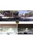 Renault Clio 2 1998-1999-2000-2001-2002-2003-2004-2005 Güneşlik Perde Arka Cam Için , Oval Tül Vantuzlu 4