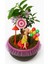 Efsun Bonsai – Özel Süslemeli Ficus Ginseng Şık ve Doğal Dekoratif Ağaç 2