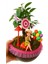 Efsun Bonsai – Özel Süslemeli Ficus Ginseng Şık ve Doğal Dekoratif Ağaç 6