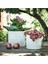 Elite Chıafrön 12 cm Stoneware Dekoratif Beyaz Saksı 1 Adet 4