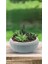 Elite Aranjman Saksı Büyük 4 Lt. (30 x 13 Cm) 1 Adet 3