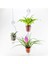 Elite Mini Pot Hanger (3 Adet) Saksılı Çiçek Askılığı - 5.5 cm Saksı Uyumlu Askı Pot Hanger 1 Adet 2