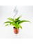 Elite Mini Pot Hanger (3 Adet) Saksılı Çiçek Askılığı - 5.5 cm Saksı Uyumlu Askı Pot Hanger 1 Adet 3