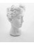 Elite Büyük Boy Beyaz Helen Heykel Vazo Antik Saksı Büst Biblo 1 Adet 4