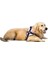 Köpek Araba Koltuğu Kapağı Katlanır Hamak Pet Taşıma Çantası Sepet Taşıma Kedi Kararlı Katlanabilir Seyahat Pet Köpek Araba Koltuğu (Yurt Dışından) 1