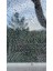 Elite Çekpas Çekeçek Banyo, Fayans,duşakabin,balkon, Cam V.b Alanlarda (33CM) 1 Adet 2
