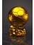 Ballon D'or Messi Altın Balon Kupa 20 cm (400GR ) 1 Adet 4