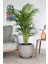 Elite Küre Model Çömlek Saksı Vizon H:29CM-ÇAP:32CM 1 Adet 5