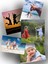 20X30CM Fotoğraf Baskı 1 Adet 4