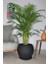 Elite Küre Model Çömlek Saksı Siyah H:22CM-ÇAP:26CM 1 Adet 4