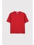 Premium Relaxed Basic Tshirt 2