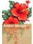 Xcı Amber Mirage 150 ml Çubuklu Ortam Kokusu 3
