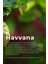 Xcı Havvana 100ML Çubuklu Ortam Kokusu 3
