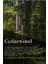 Xcı Cedarwood 150 ml Çubuklu Ortam Kokusu 4