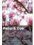 Xcı Petal & Oak 100 ml Çubuklu Ortam Kokusu 3