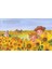 Little People, Bıg Dreams: Vincent Van Gogh - Maria Isabel Sanchez Vegara 2