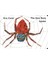 The Very Busy Spider (Board Book) 1