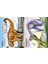 Build Your Own Dinosaurs Sticker Book Usborne Publishing 3