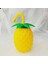 Ananas Pipetli Suluk (7272) 1