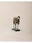 Bastien Biblo - Gold 2