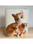 Kedi ve Yavruları Silikon Kalıbı 2