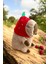 Capybara Peluş Oyuncak Cappy,capy 33 cm Orta Boy 1 Adet 1