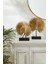Palm Biblo 29X8X34.5 cm Gold 2