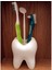 Banyo Dekorasyonuna Uygun Modern Diş Fırçalık 1