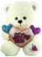 PJH2322 Peluş Kalpli Ayı 30 cm 2