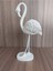 Tek Krem Flamingo Biblosu 2