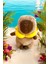 Capybara Peluş Oyuncak Cappy,capy 33 cm Orta Boy 1 Adet 1