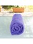 %100 Pamuk 190X73 Plaj Şezlong Havlusu 6
