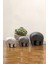 Beton Minimalist Fil Biblo - Dekor Seti 1