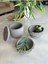 Taş Dokulu Gri Beton Modern Dekoratif 3 Lü Set Obje Biblo 2