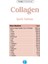 Collagen 30 Servis Aromasız Hidrolize Kolajen Peptitleri Tip 1 Tip 3 3