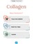 Collagen 30 Servis Aromasız Hidrolize Kolajen Peptitleri Tip 1 Tip 3 4