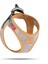 Alpine Curli Clasp Vest Harness Light Gray 1