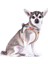 Alpine Curli Clasp Vest Harness Light Gray 2