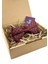 Bordo Puantiye Desen Papyon P1976 1