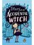 Diary of an Accidental Witch 1