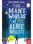 The Many Worlds Of Albie Bright 1