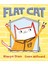 Flat Cat 1