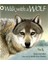 Walk Wıth A Wolf 1