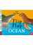 Flıp Flap - Ocean 1